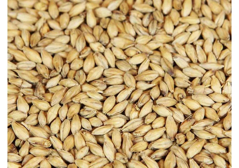 Weyermann Bokrökt Malt 1kg Hel
