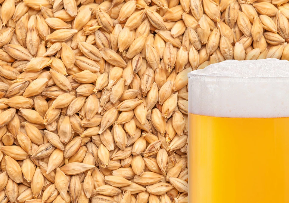Bulldog Pilsner Malt 2,2kg Krossad