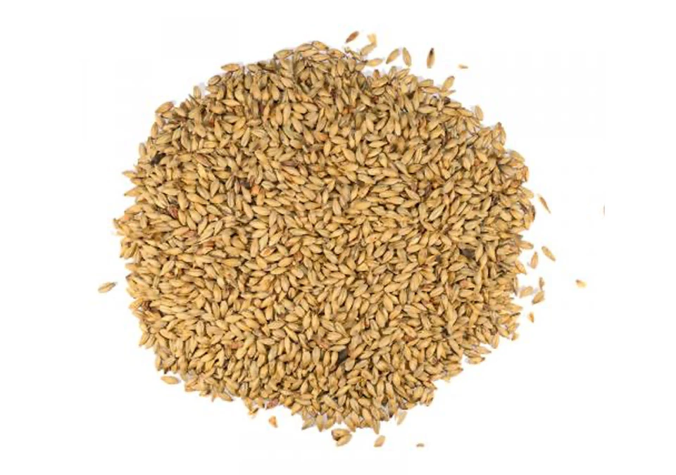 Dingemans Biscuit Malt 1kg Hel