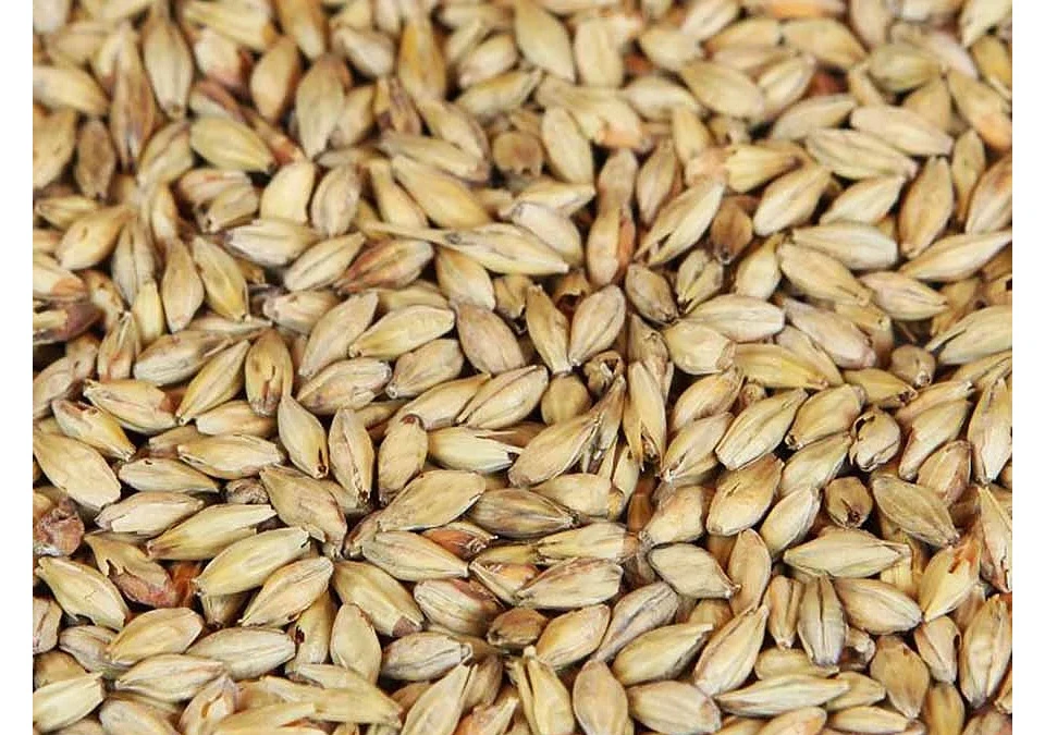 Weyermann Diastatic Barley Malt 1kg Hel - Enzymatisk
