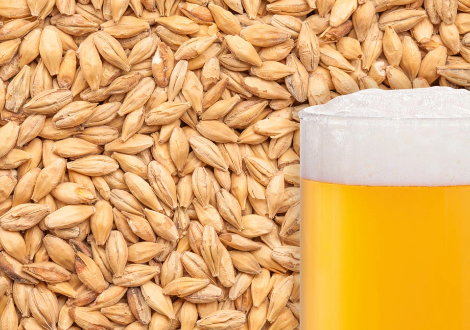 Bulldog Caramel Pils Malt 250g Krossad