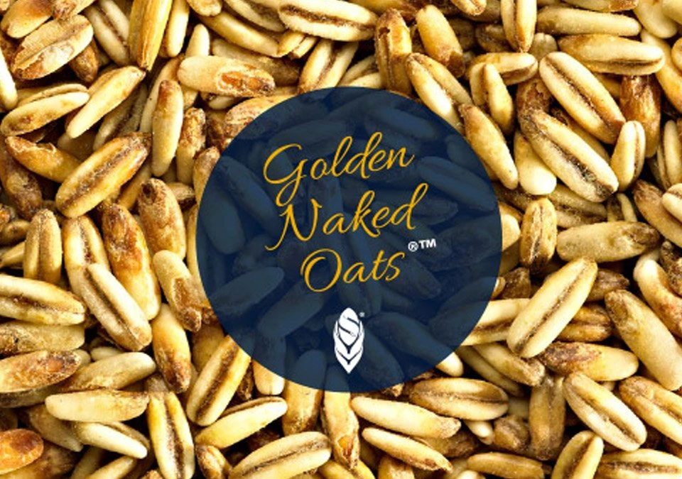 Simpsons Golden Naked Oats 2kg