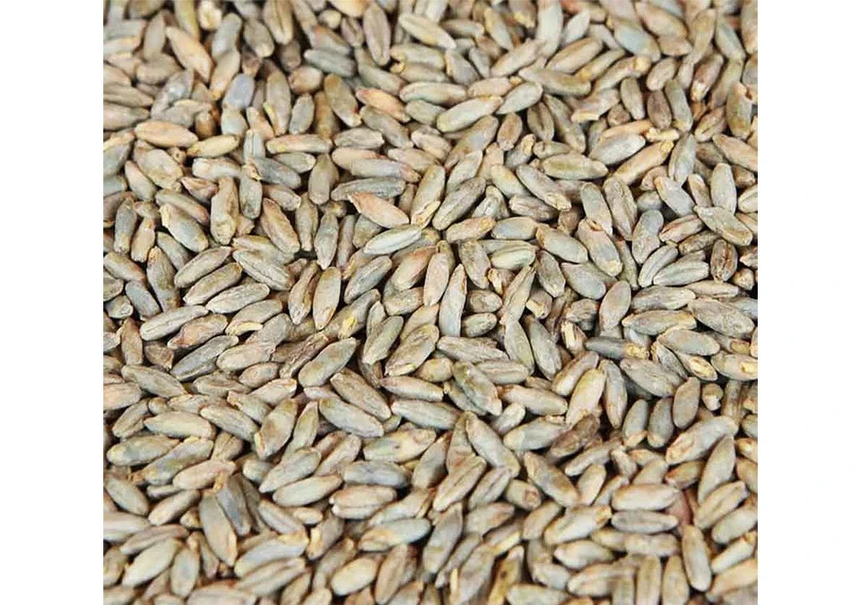 Weyermann Råg Malt 1kg Hel