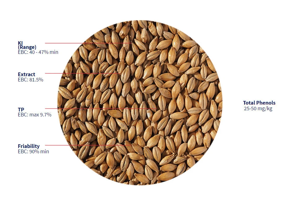 Crisp Scottish Heavy 50 Peat Malt (Rökmalt) 1kg Hel