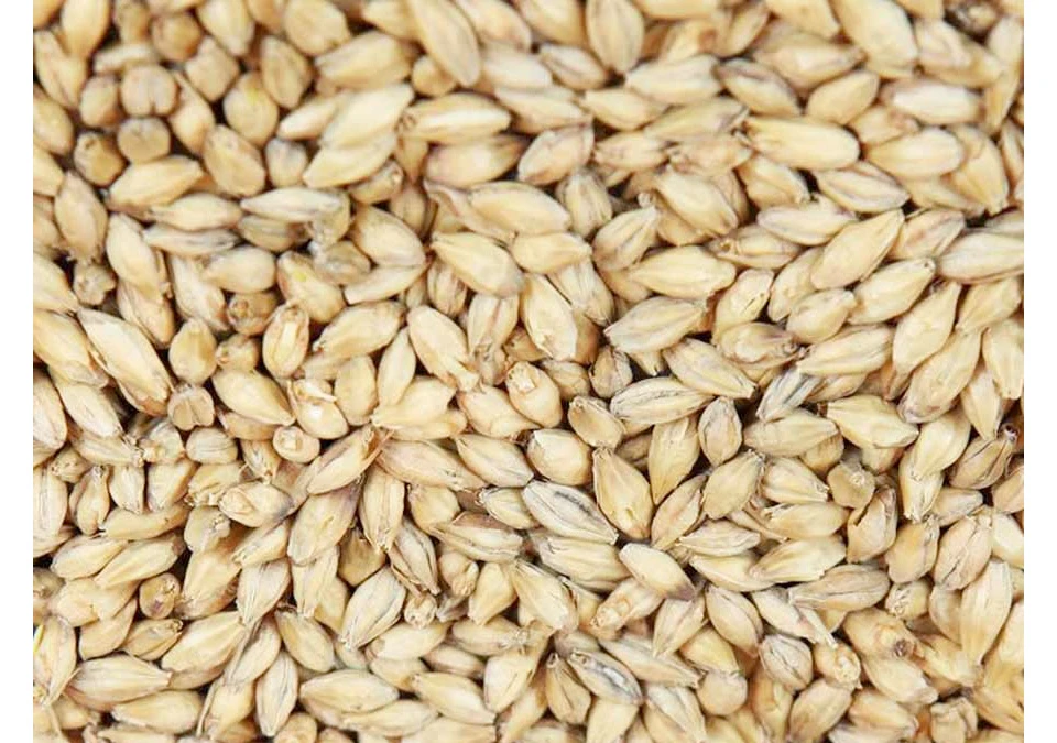 Finest Golden Promise Pale Ale Malt 1kg Hel