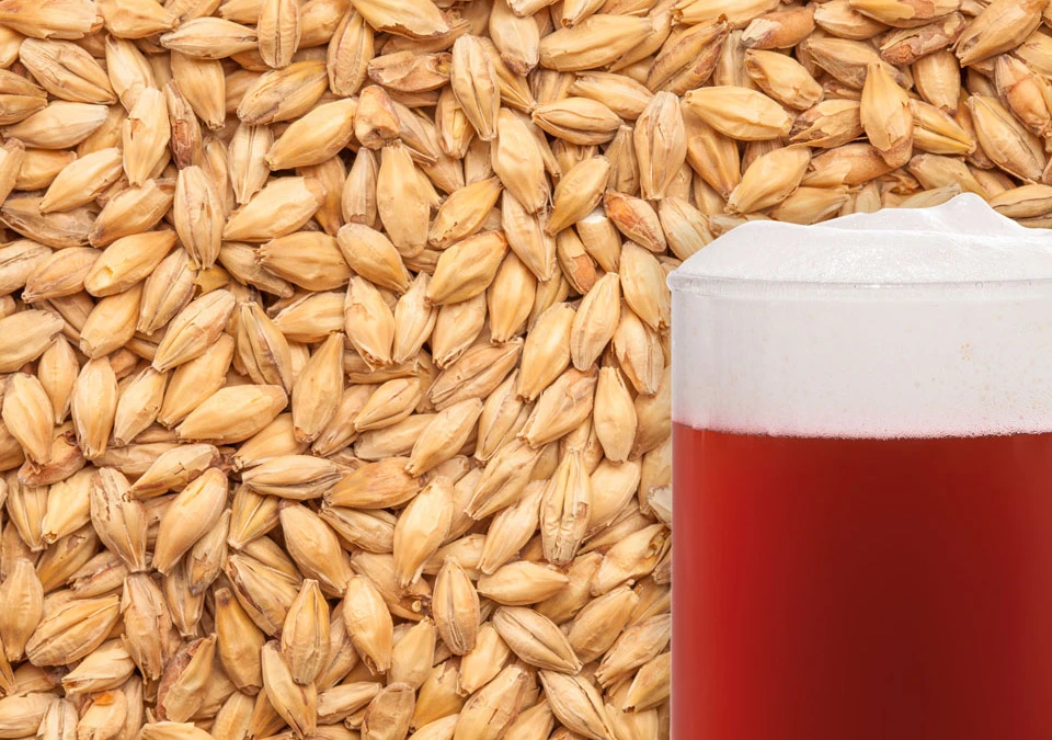 Red-X Malt 25kg Hel