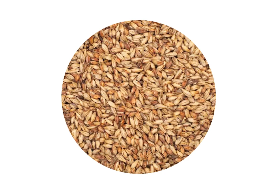 Briess Victory Malt 250g Krossad