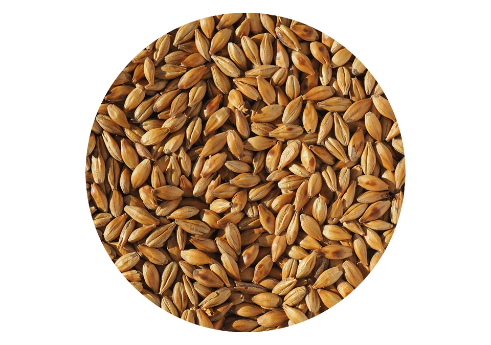 Weyermann CaraAmber Malt 250g Krossad