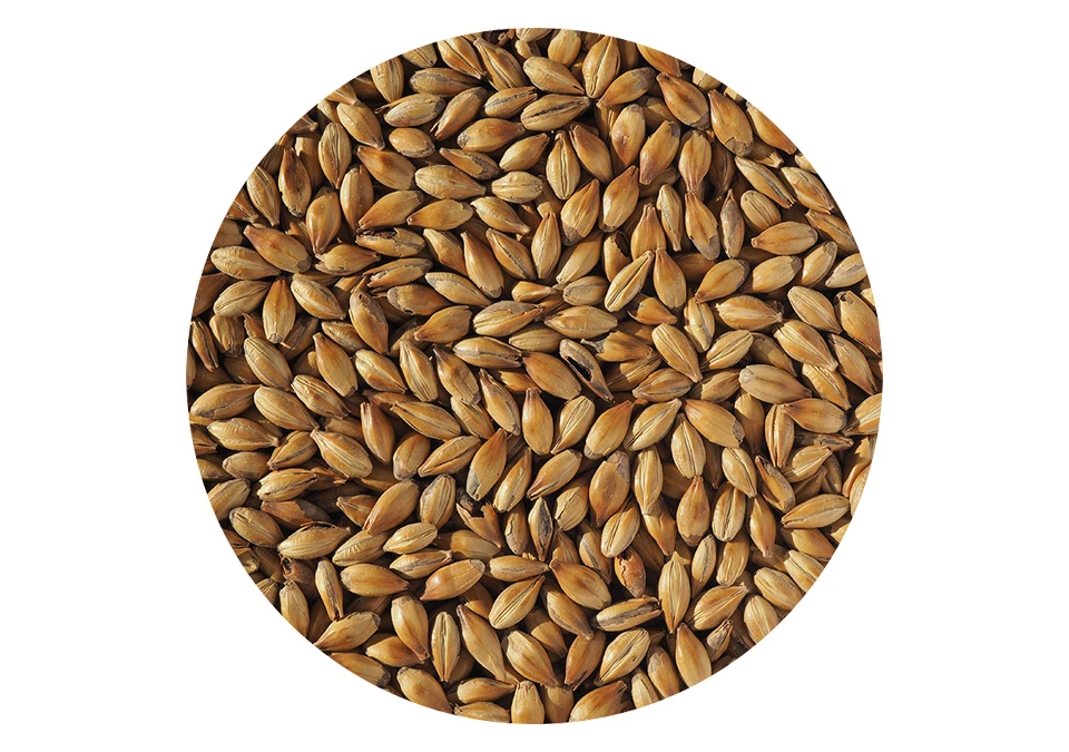 Crisp Crystal 150 Malt 250g Krossad