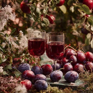 Gör ditt eget plommonvin